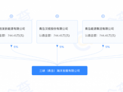 三峽集團&東方電氣，重投山東海上風電！